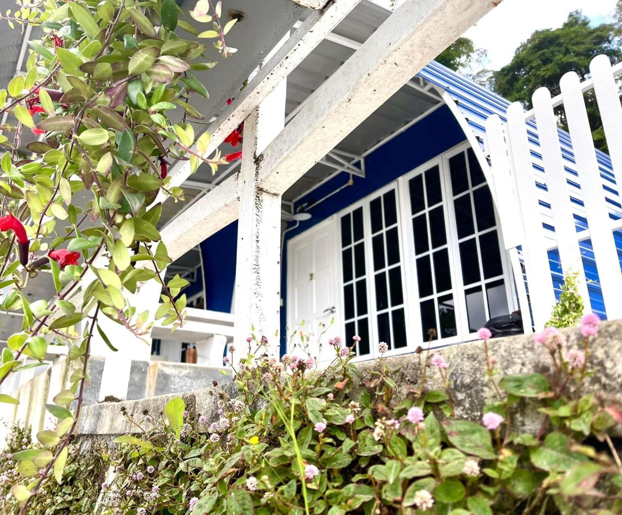 Blue Cabins By Pfordten Cottage คาเมรอนไฮแลนด์ ภายนอก รูปภาพ