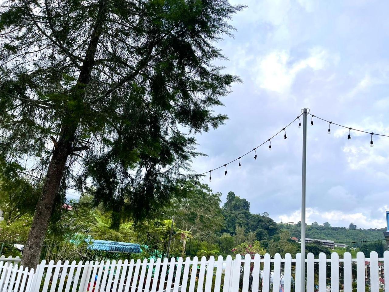 Blue Cabins By Pfordten Cottage คาเมรอนไฮแลนด์ ภายนอก รูปภาพ