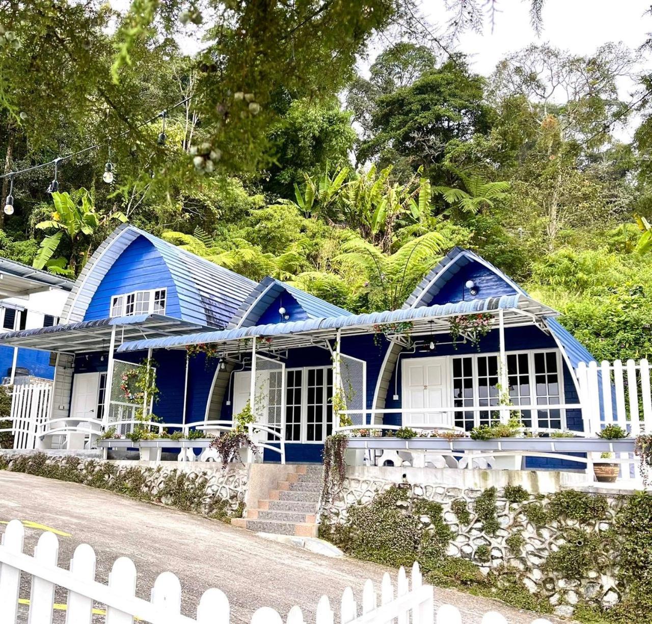 Blue Cabins By Pfordten Cottage คาเมรอนไฮแลนด์ ภายนอก รูปภาพ
