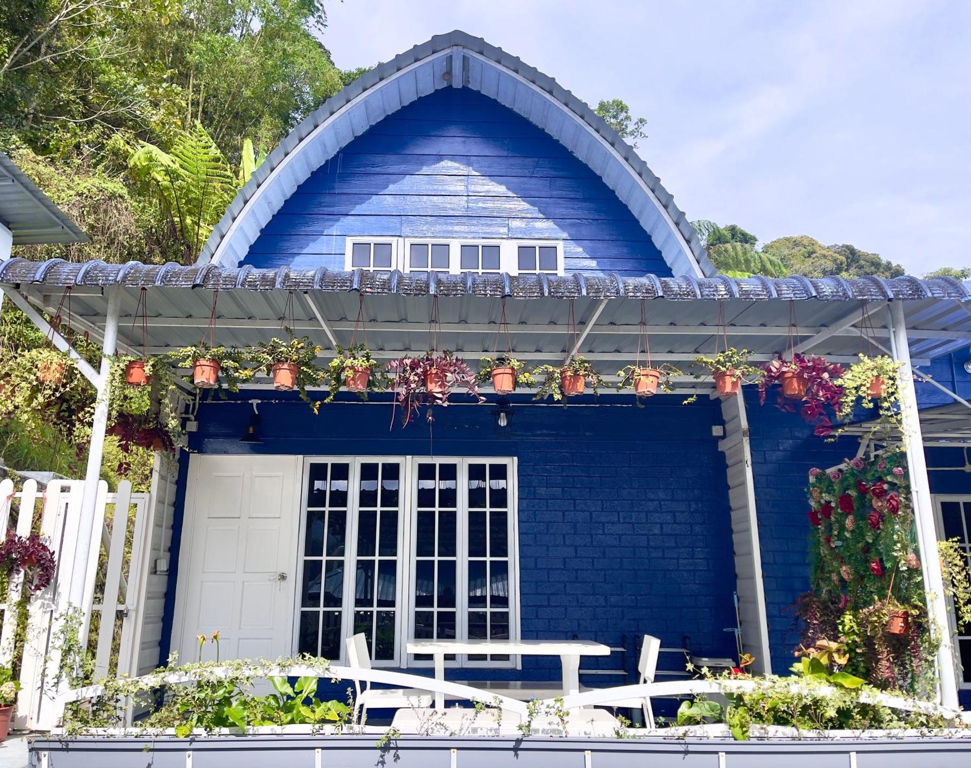 Blue Cabins By Pfordten Cottage คาเมรอนไฮแลนด์ ภายนอก รูปภาพ
